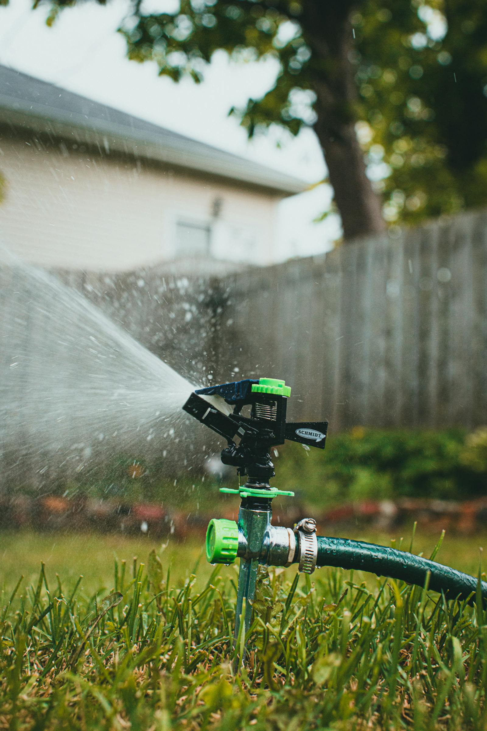 Rotating sprinkler watering a fenced back yard