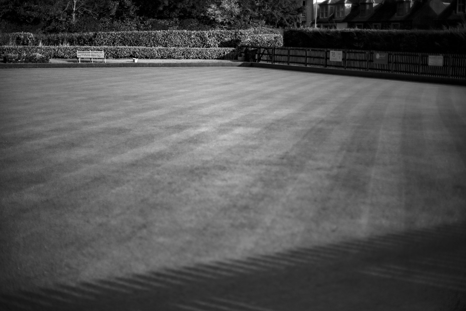 Fresh mowing stripes across a green lawn